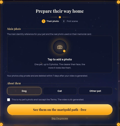 The WithYouAgain upload step, showing the Main photo field, the note that you can add up to 3 photos of one pet, and the privacy line about deletion within 7 days